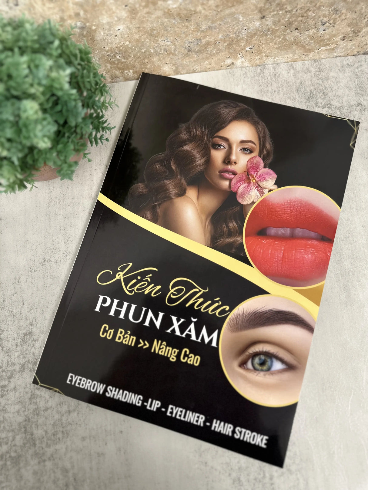 SÁCH KIẾN THỨC PHUN XĂM- Brow Permanent Make Up Therory Advanced - Vietnamese Version